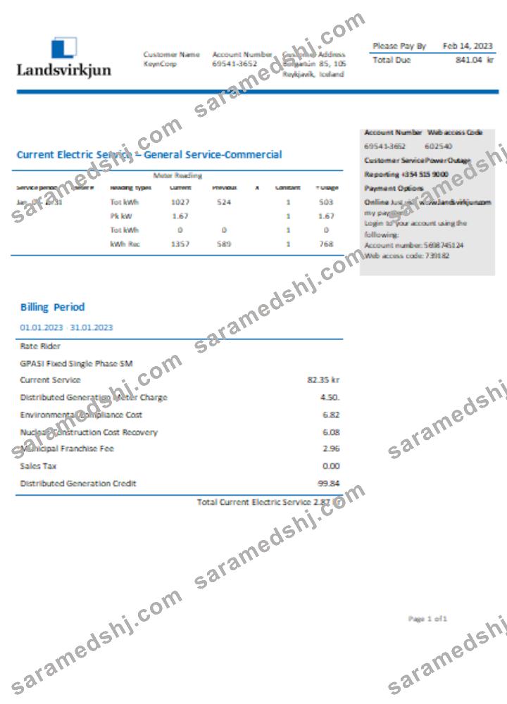 The National Power Company of Iceland Landsvirkjun electricity utility business bill, SCR